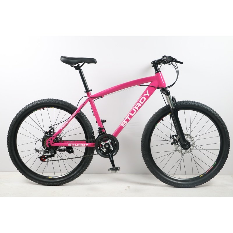 Hot selling 26 29inch mountain bicycle shock fork spokes Cross Country downhill mountain bike