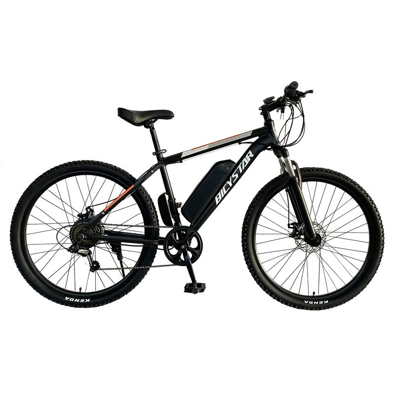 high power new fast pakistan china 48v 250w electric mountain bike 60km/h speed