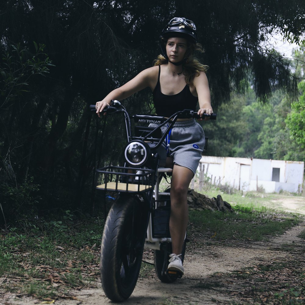 China Factory Electric Bicycle Sales 48V 1000W Dirt Fat Ebike 16Ah Lithium Battery Customized 20Inch Steel Frame E Mountain Bike