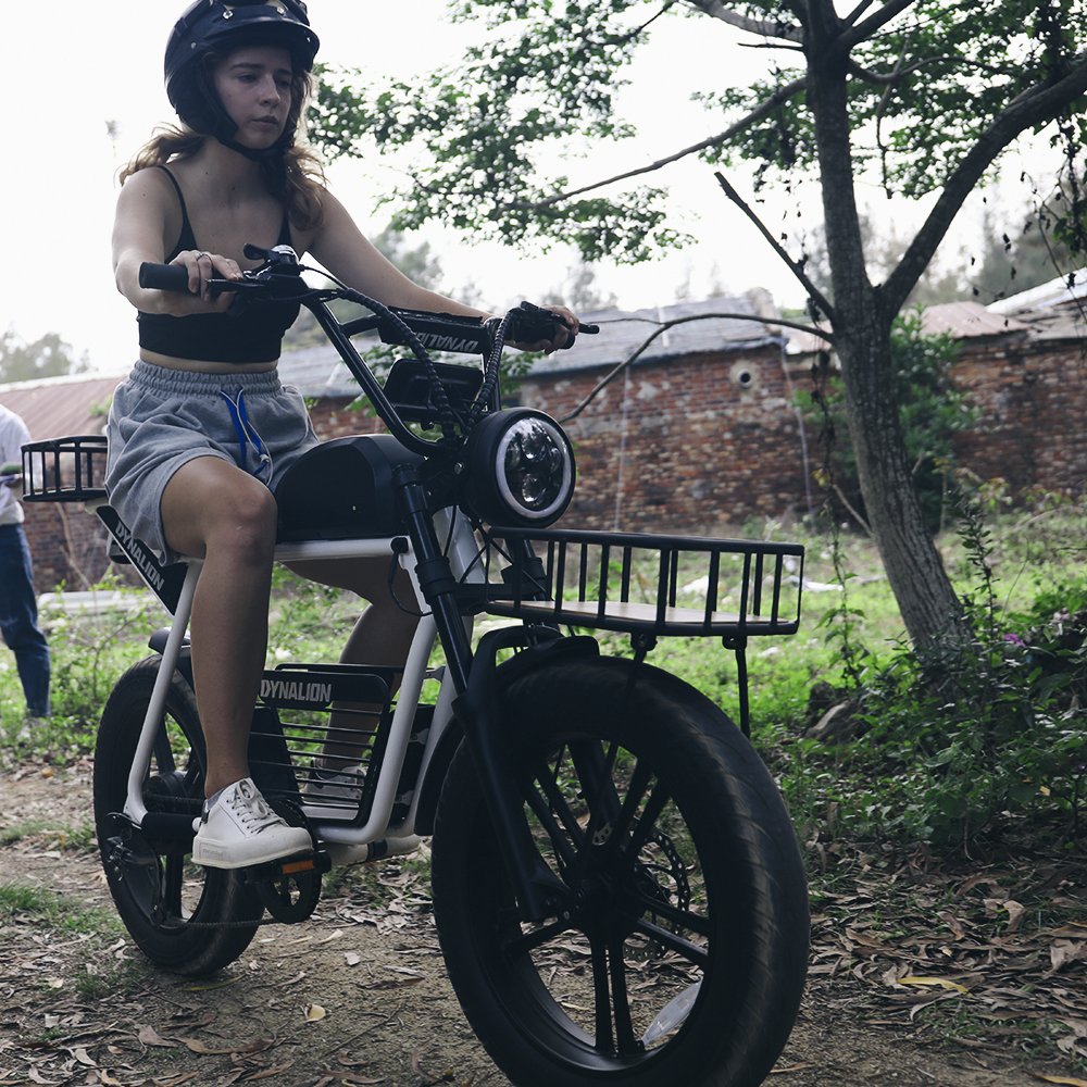 China Factory Electric Bicycle Sales 48V 1000W Dirt Fat Ebike 16Ah Lithium Battery Customized 20Inch Steel Frame E Mountain Bike