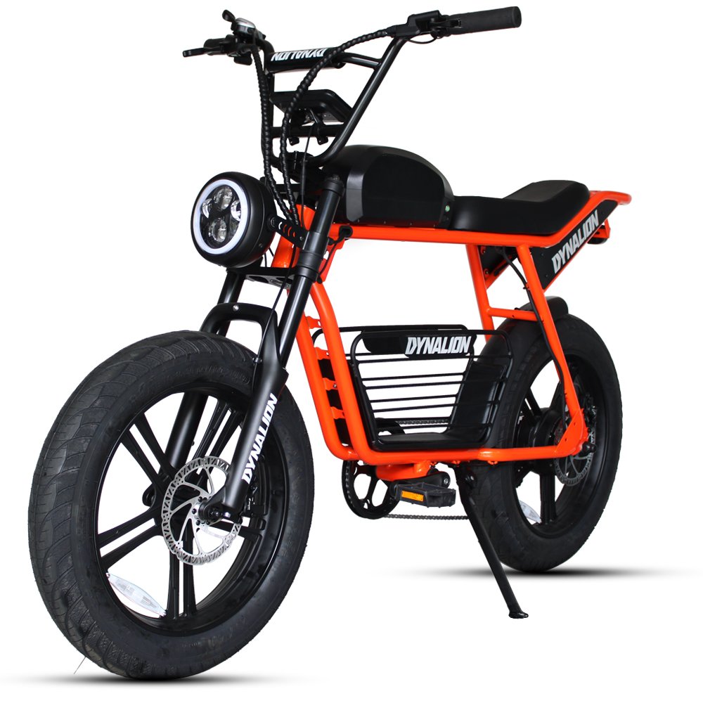 China Factory Electric Bicycle Sales 48V 1000W Dirt Fat Ebike 16Ah Lithium Battery Customized 20Inch Steel Frame E Mountain Bike