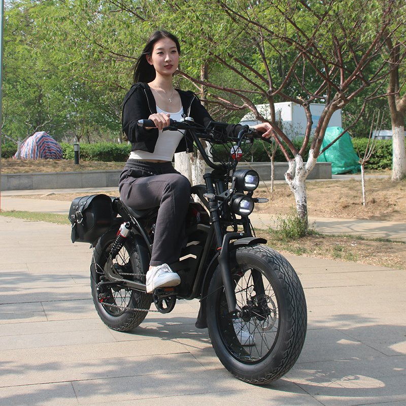 US warehouse 20 inch fat tires snow e-bike 48V1500W 18Ah full suspension electric city bicycle retro light ebike RTS
