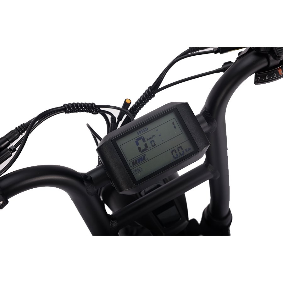 Step Through Super Beach Ebike Electric Bike 1000W Fat Tire Bike Bicycle 73 Ebike Retro