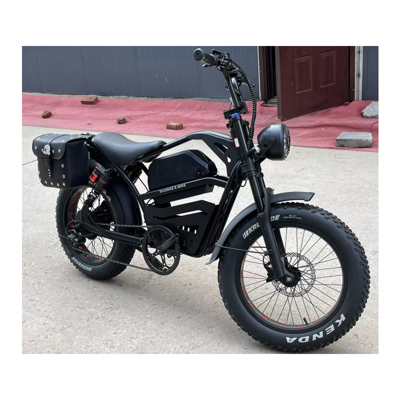 Factory Supply 20inch Fat Tire Snow Electric Bike 48v350W 500W 800w 1000w Variable Speed Lithium Battery Electric Mountain Bike
