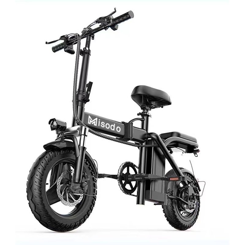 Electric Folding Bike 1500w 750w Dual Motor 48v Electric Bicycle Electric Dirt Bike Ebike Motorbike Electric Bike