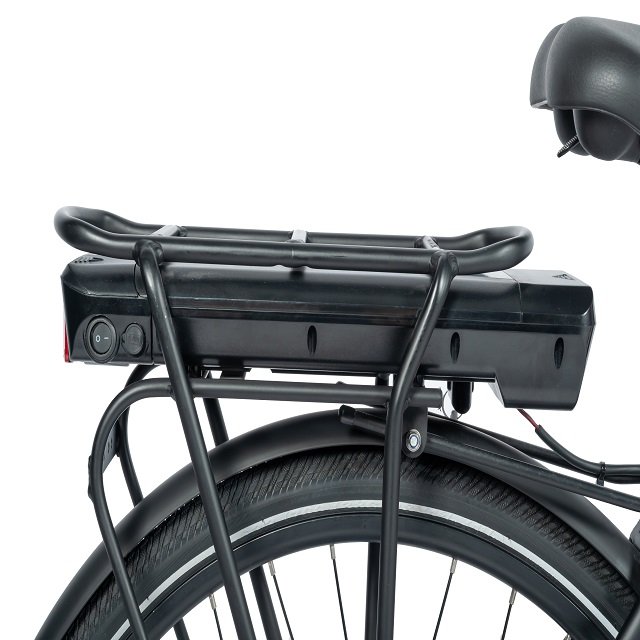 Hot Sale 36V 350W Electric city bike with mid motor women bike for step through