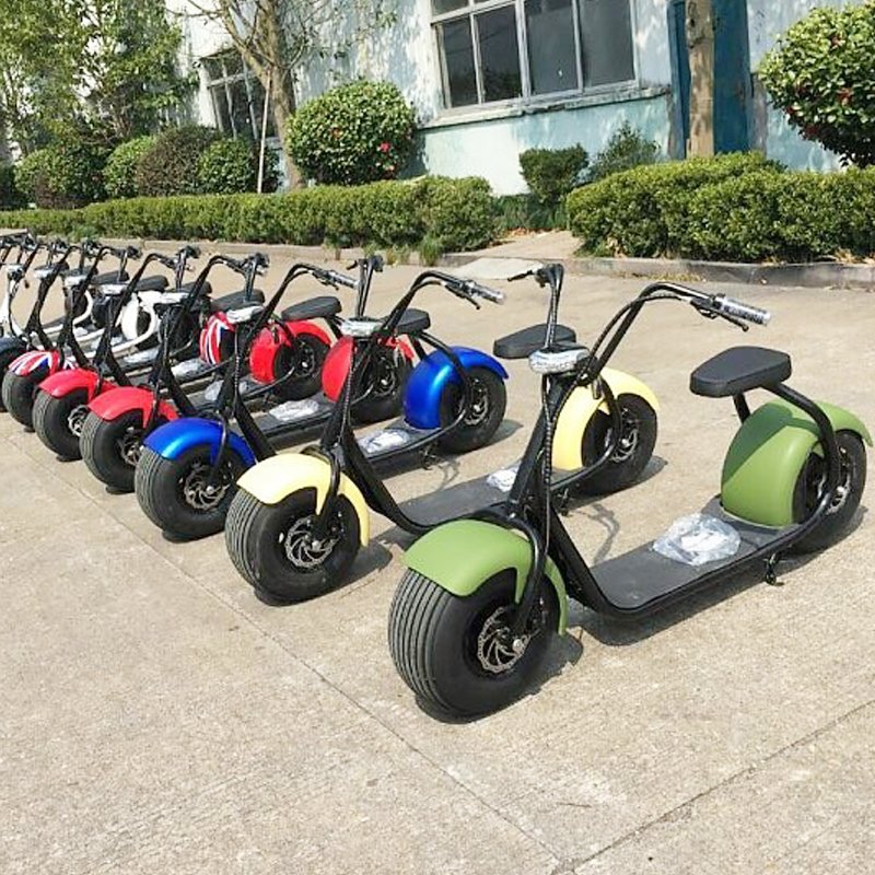 2 fat wheels 60v 1200W citycoco dirt bike with 60v 20ah lithium battery dirtbike motorbike