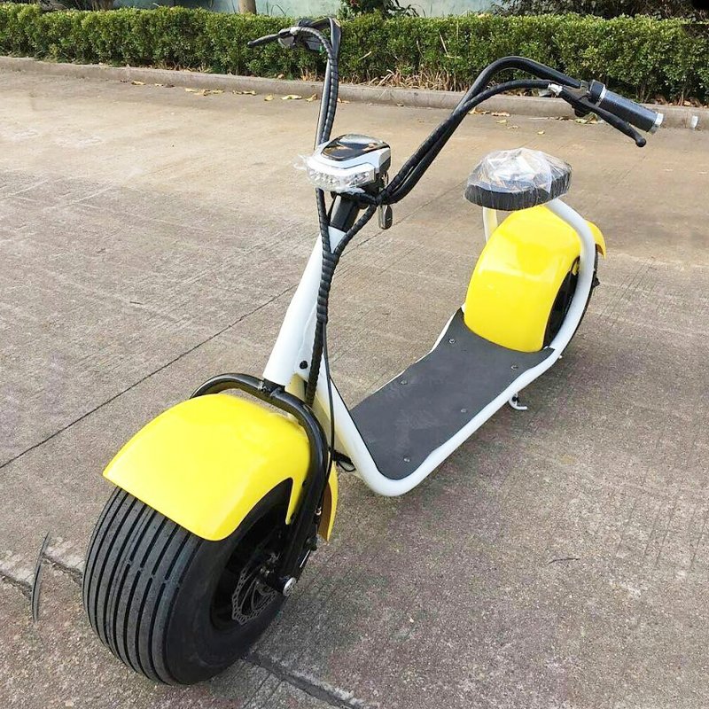 2 fat wheels 60v 1200W citycoco dirt bike with 60v 20ah lithium battery dirtbike motorbike