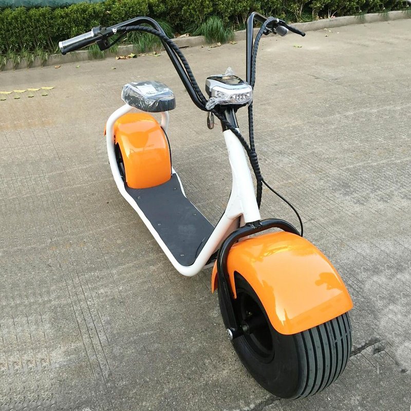 2 fat wheels 60v 1200W citycoco dirt bike with 60v 20ah lithium battery dirtbike motorbike