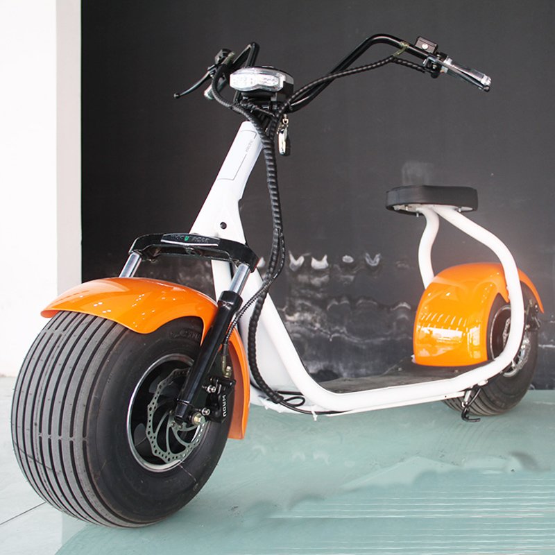 2 fat wheels 60v 1200W citycoco dirt bike with 60v 20ah lithium battery dirtbike motorbike