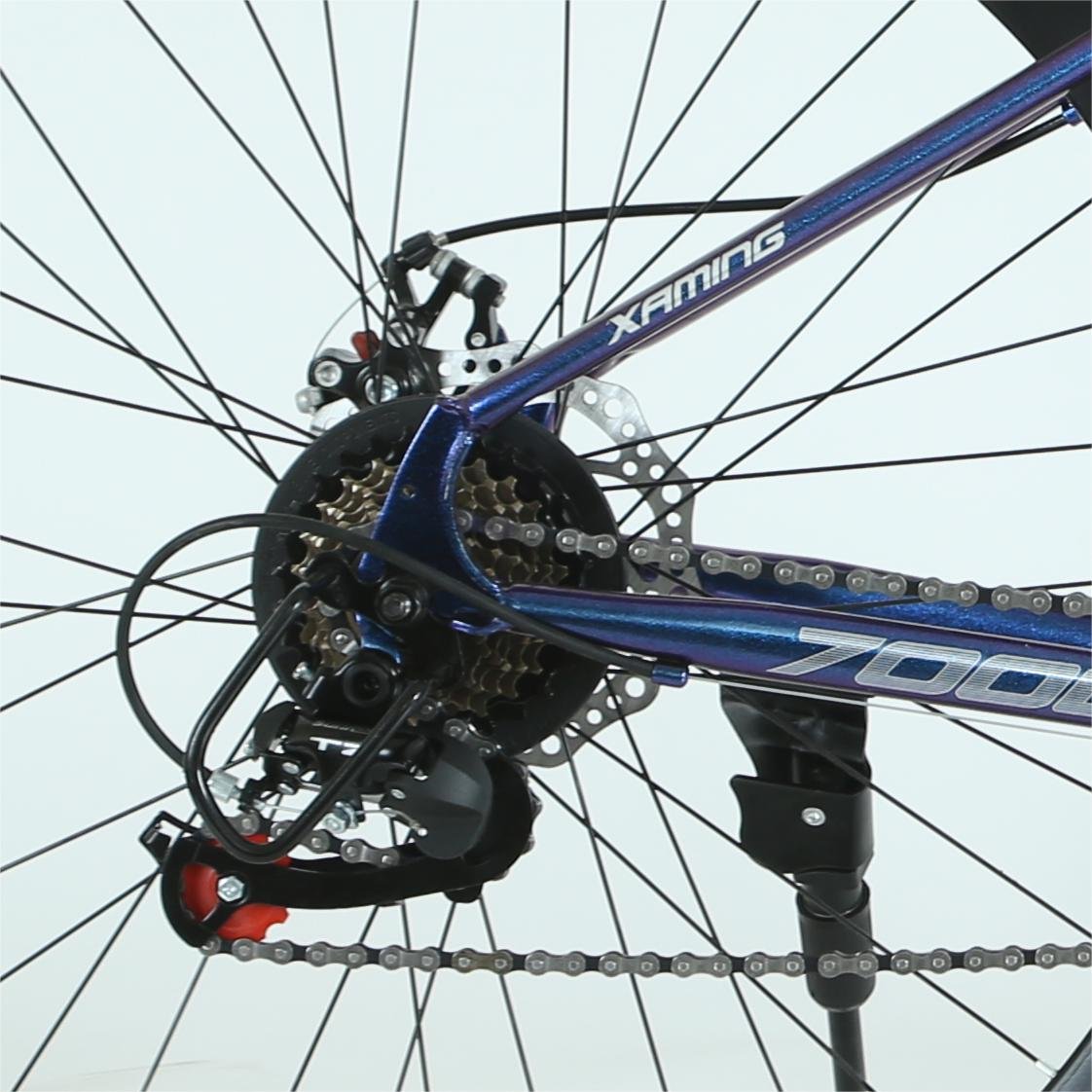 LINGKE New Design Road Bicycle Hot Sales 700c Mountain Bike with Disc Brakes steel Fork 21 Speed Gears Ordinary Pedal
