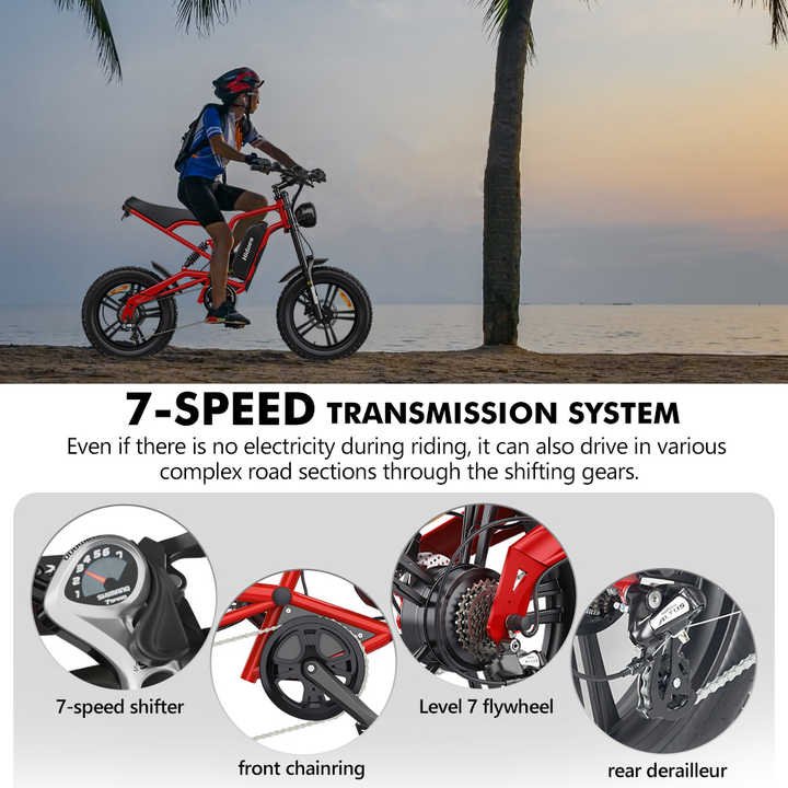Fat Tire Moped Electric Bike E-Scooter with 1200W Motor Max Speed 50km/h 15.6AH Electric Mountain Bike