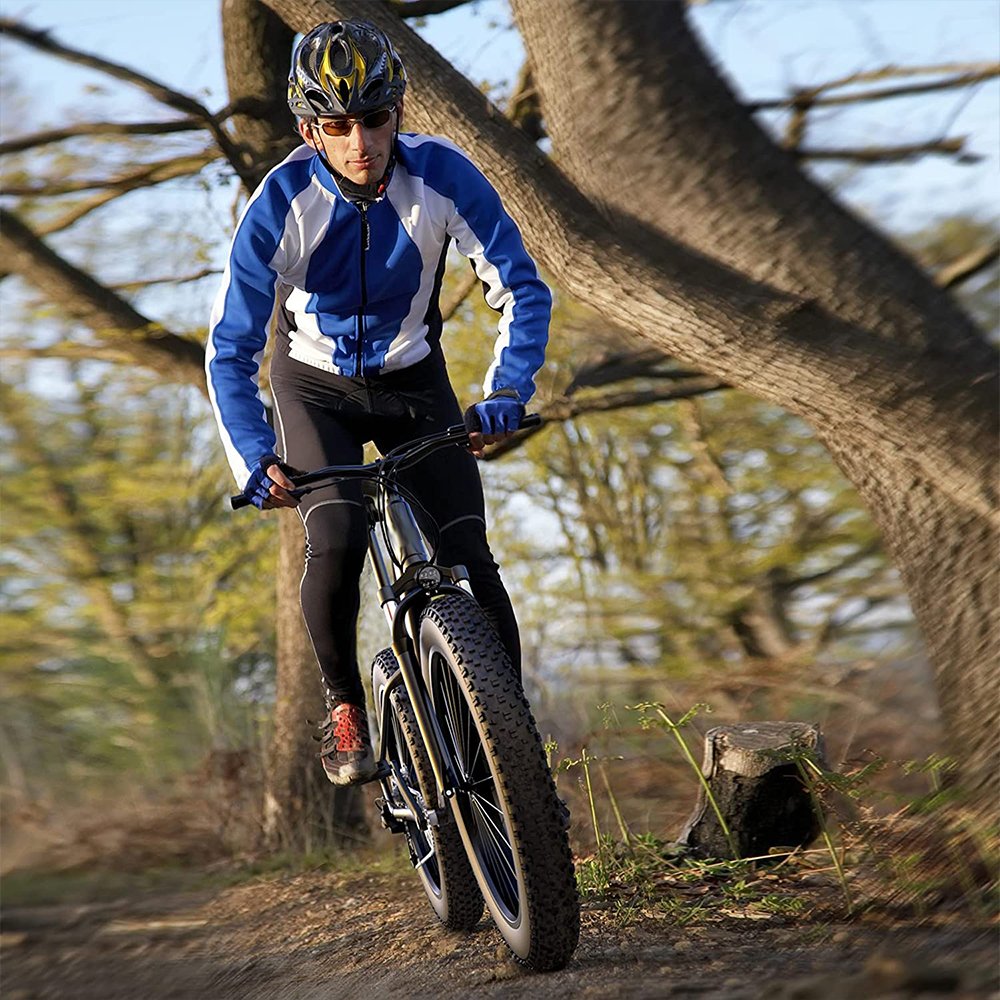 California 2023 e Bike Big Tires 750w Biker Electric Mountain Bike 50w Motorized Electric Motor E Bike