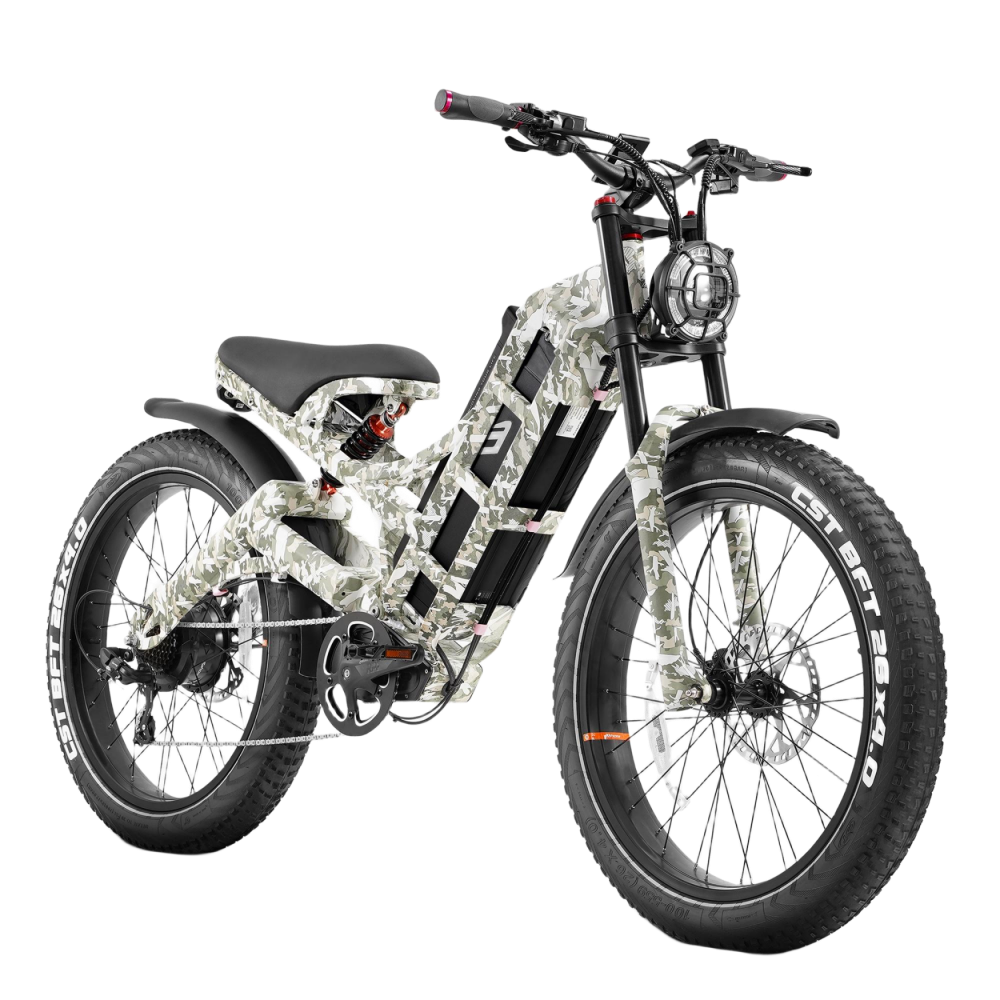 EU STOCK Eahora Romeo Pro 48V 60Ah and 1500w mobility big hybrid cargo bicycle electrica men european warehouse