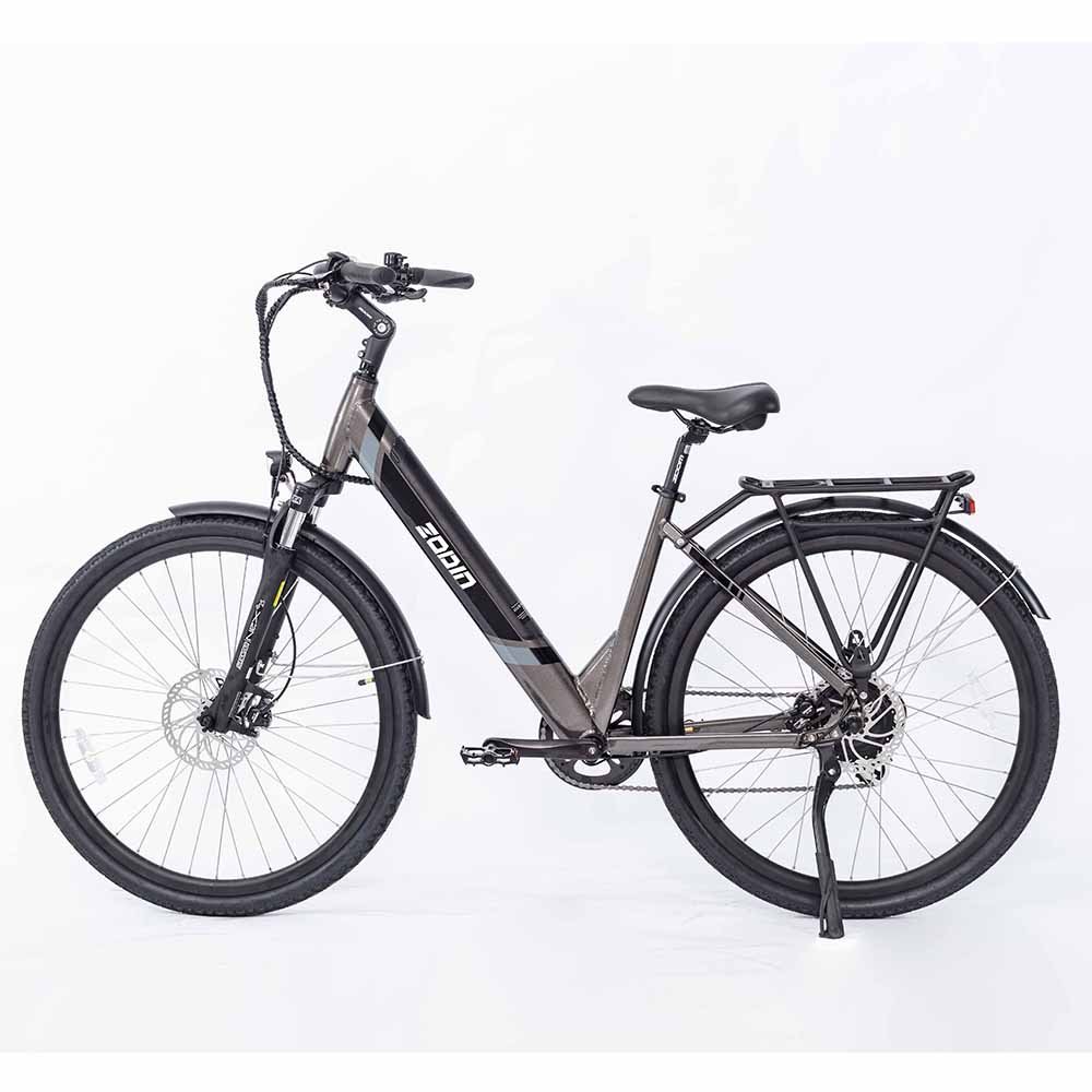 Cheap New Model 250W 36V LAX Brushless Motor E-Bike Retro Style Long Range Electric City Bike