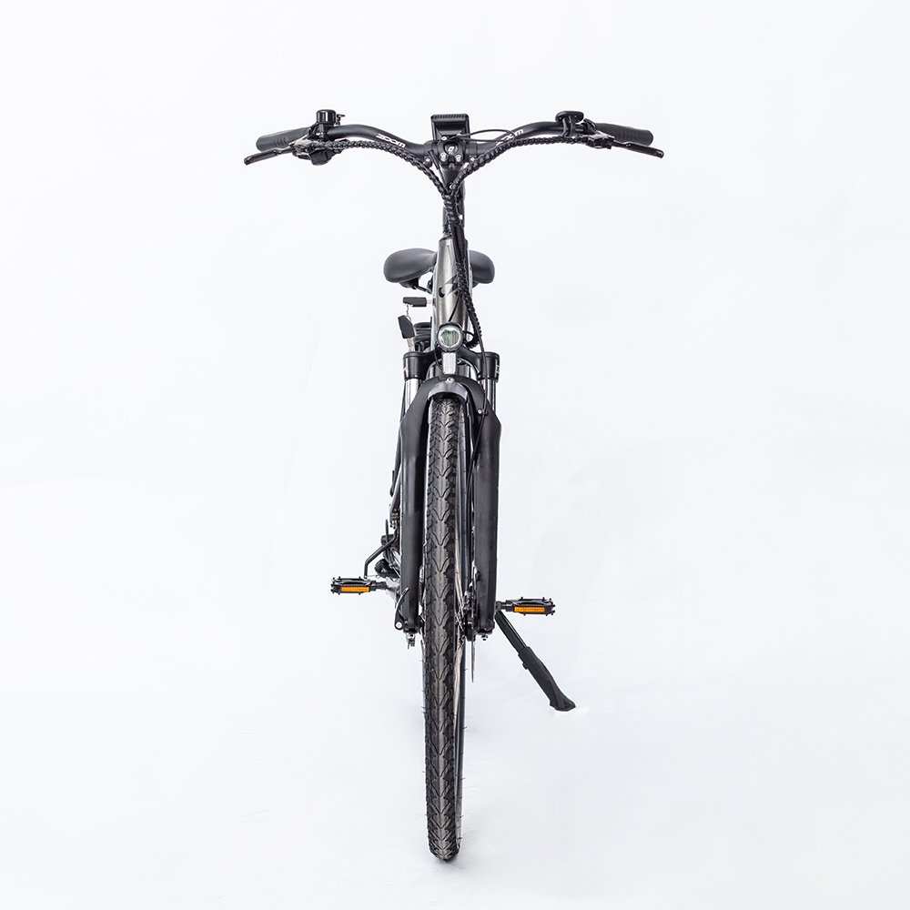 Cheap New Model 250W 36V LAX Brushless Motor E-Bike Retro Style Long Range Electric City Bike