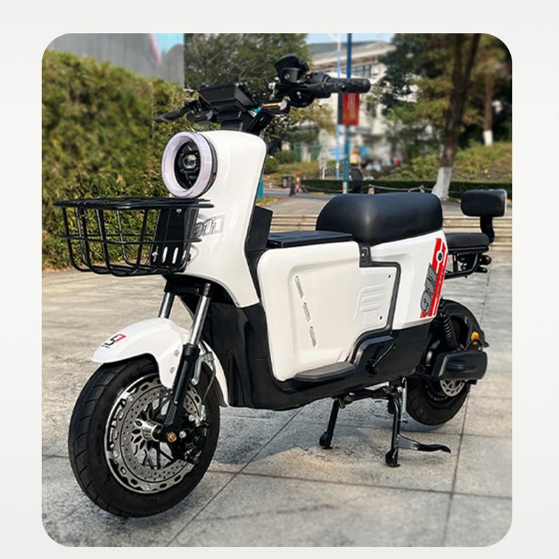 2024 Factory Direct Sales Fashion Double Electric Bicycle1000W Electric 2 Wheel Scooter 48V Power Electric City Bike