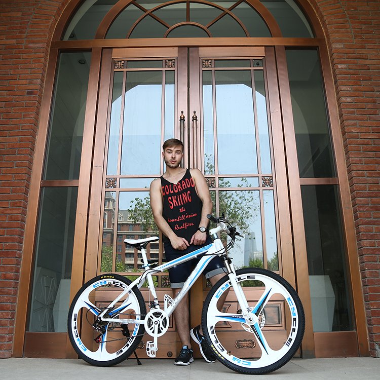 hot sale mountain bike MTB/wholesale manufacturer mountain bicycles