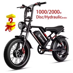 2000W Dual Motor