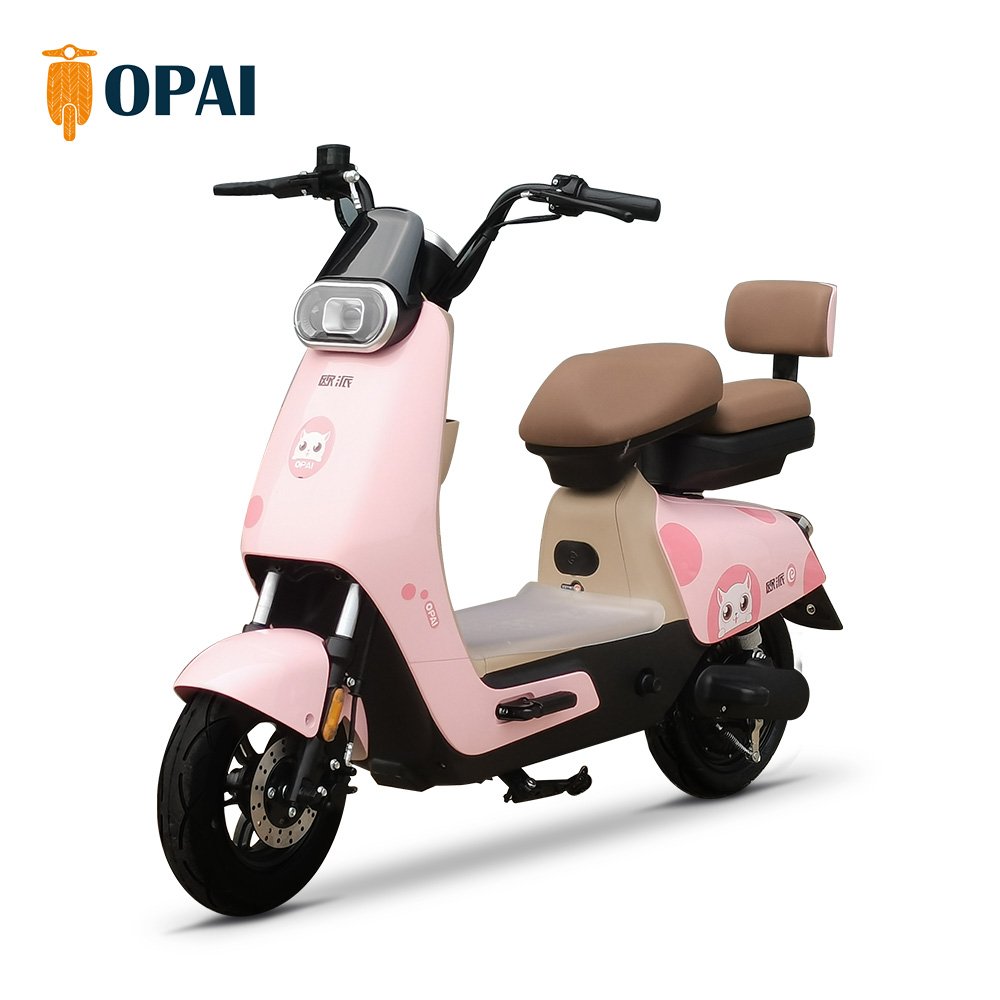Hot Sale Electric Scooters Powerful Adult Electric City Bike Electric Bike 10 Inch Lady Style Ebykes for Adults Electrical Bike