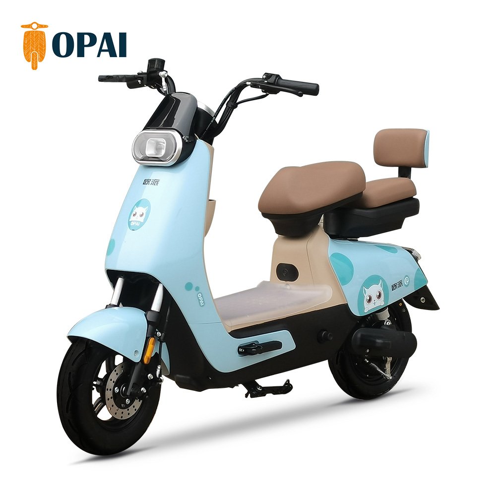 Hot Sale Electric Scooters Powerful Adult Electric City Bike Electric Bike 10 Inch Lady Style Ebykes for Adults Electrical Bike