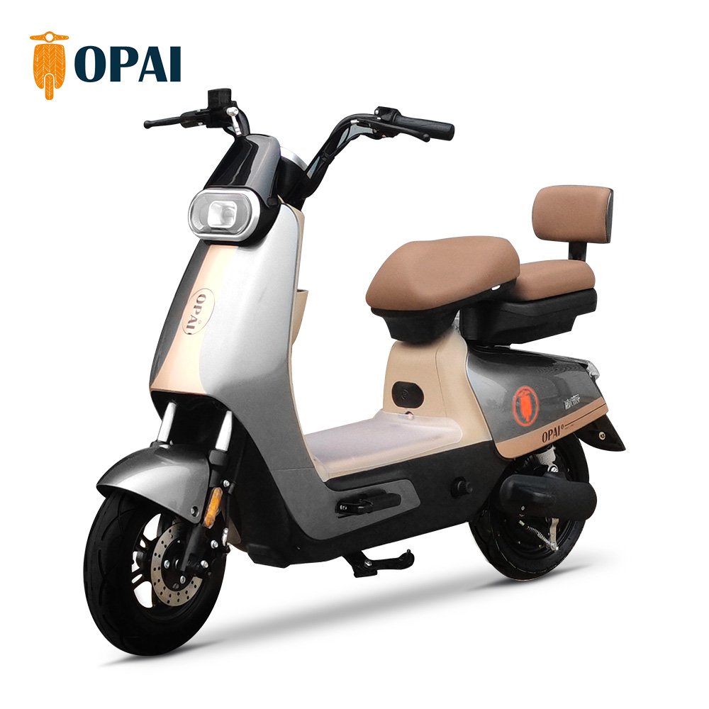 Hot Sale Electric Scooters Powerful Adult Electric City Bike Electric Bike 10 Inch Lady Style Ebykes for Adults Electrical Bike