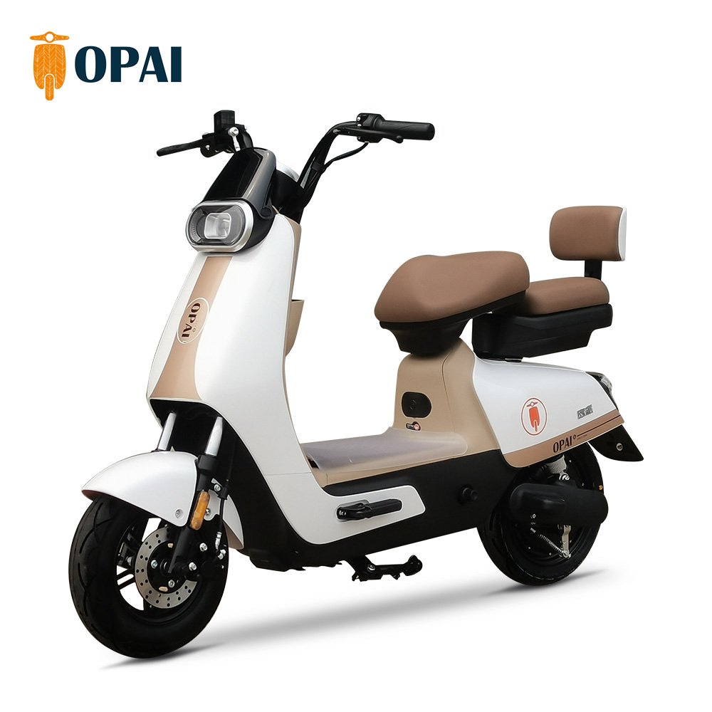 Hot Sale Electric Scooters Powerful Adult Electric City Bike Electric Bike 10 Inch Lady Style Ebykes for Adults Electrical Bike
