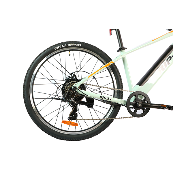 GDS M037 EU SPAIN Warehouse 36V 250W Hub Motor Mountain Electric Bicycle Ebike
