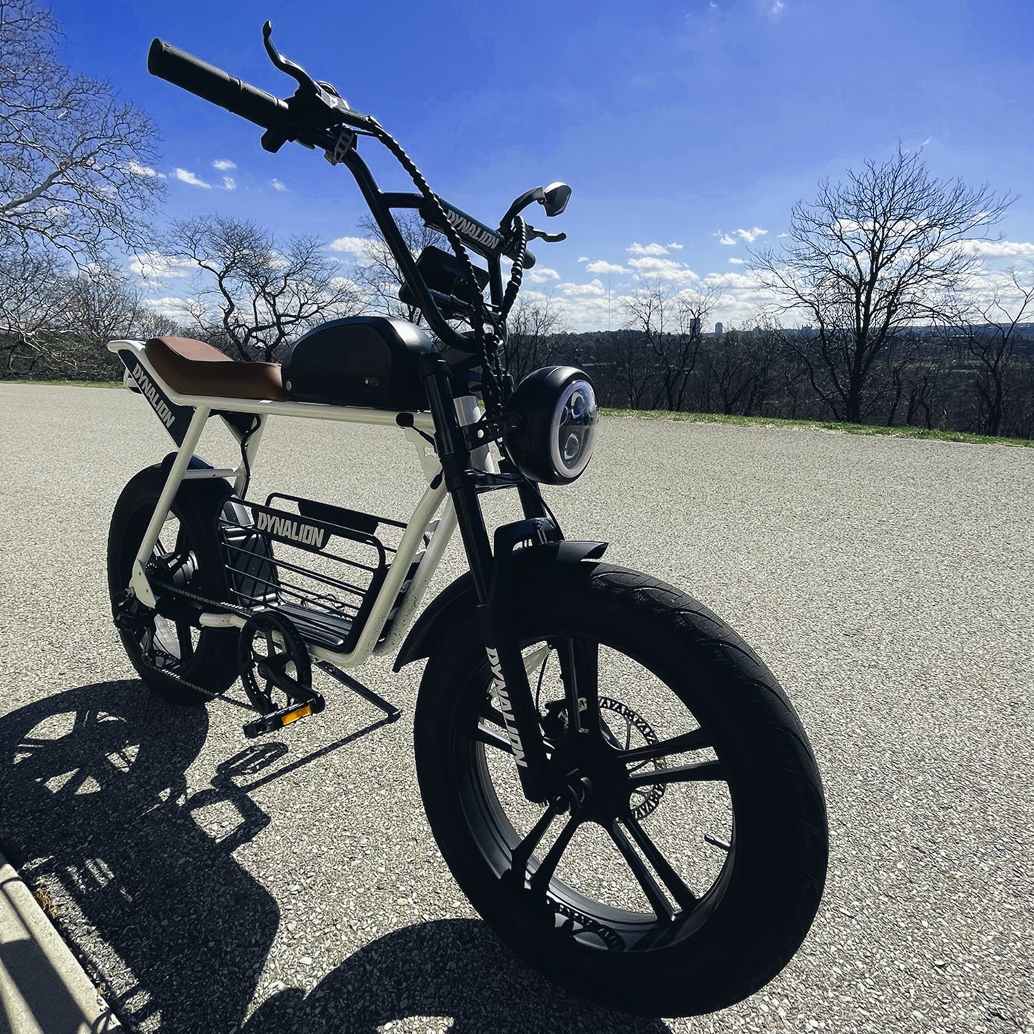 High Performance Electric Fat Tire Bike 1000W Motor 16Ah Li-Battery Durable Electric Mountain Bike Electric Dirt Bike