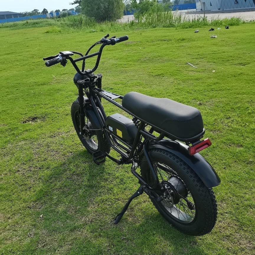 ANLOCHI 73 model super power electric mountain bike off road ebike 481000W dual motor electric bicycle for sale