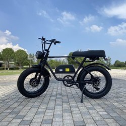 1000W