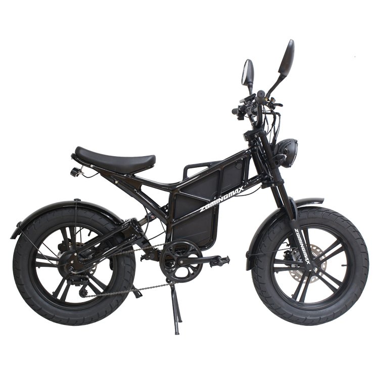 Electric Bicycle Fat Bike 48v 250w Electric Hybrid Bike Cheap Electric Mountain Bike