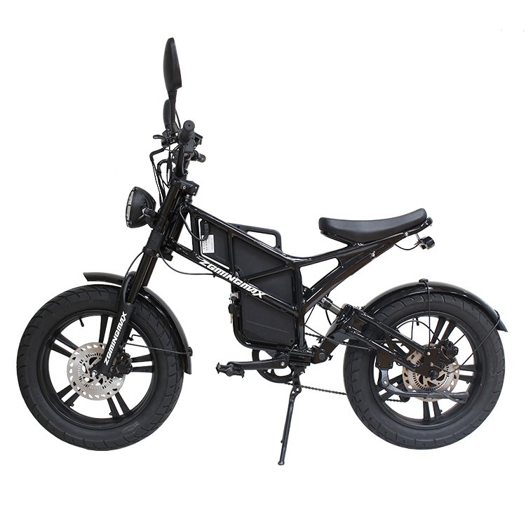 Electric Bicycle Fat Bike 48v 250w Electric Hybrid Bike Cheap Electric Mountain Bike