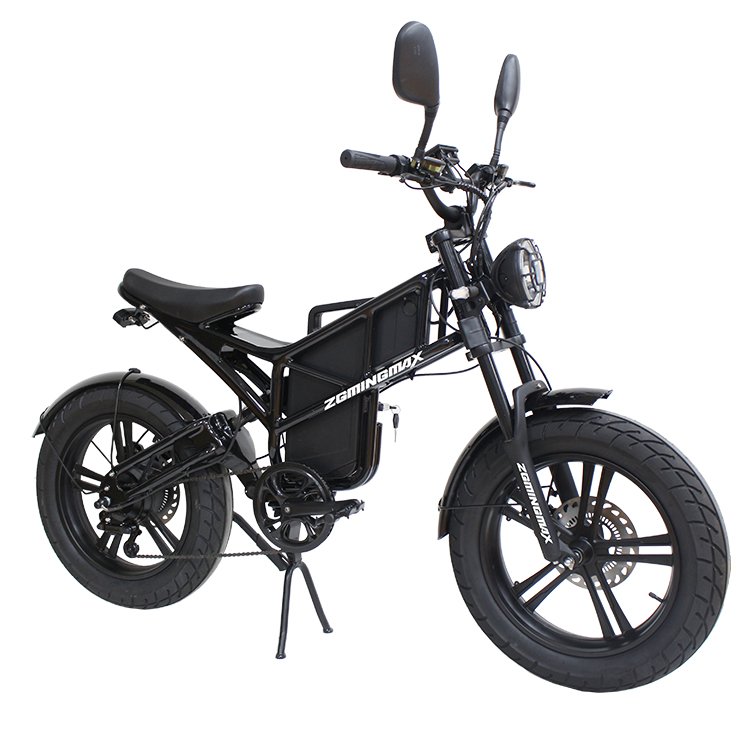 Electric Bicycle Fat Bike 48v 250w Electric Hybrid Bike Cheap Electric Mountain Bike
