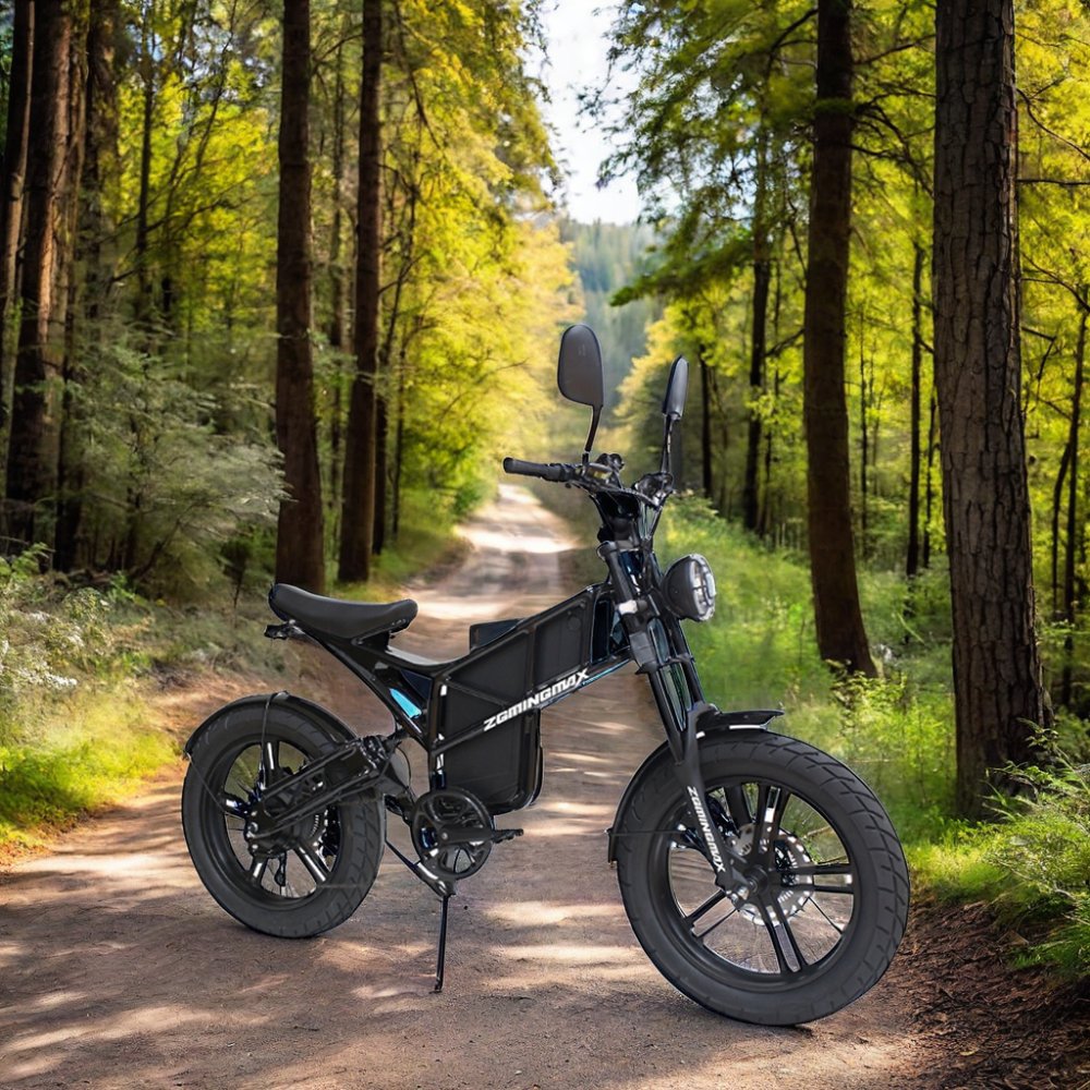Electric Bicycle Fat Bike 48v 250w Electric Hybrid Bike Cheap Electric Mountain Bike