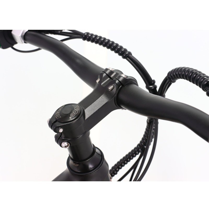 Electric Mountain Bike with 1000W Stock Power 48V 29-Inch Fully Suspended eBike Lithium Battery Tube Position Disc Brake System