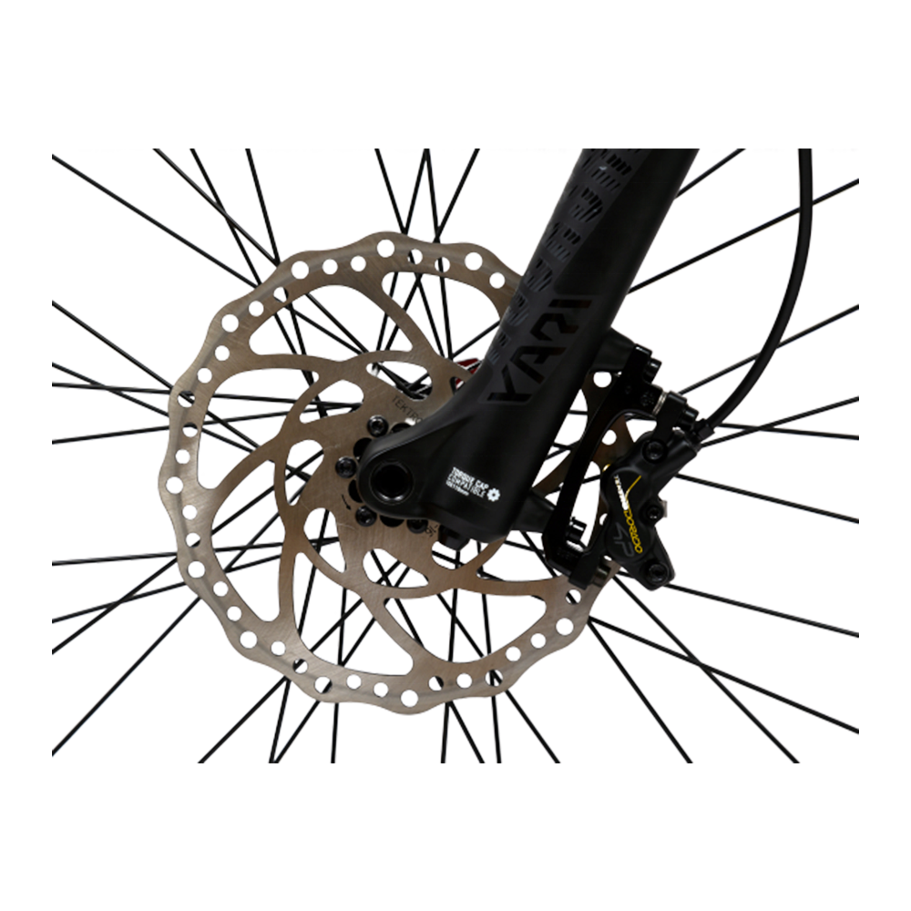 Ansbern New Arrivals Full Suspension Bafang Mid Drive Electric Mountain Bike 1000W 148W