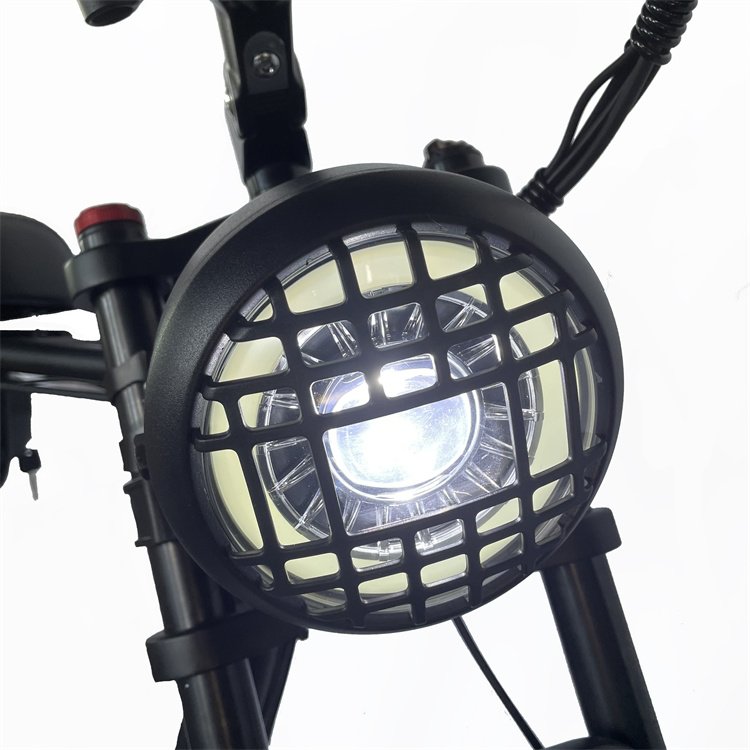 Fat Ebike for Adult Two Seat Electric Bike High Power 20 Inch 48V 1000W LED Lithium Battery Rear Hub Motor Aluminum Alloy 20.3AH