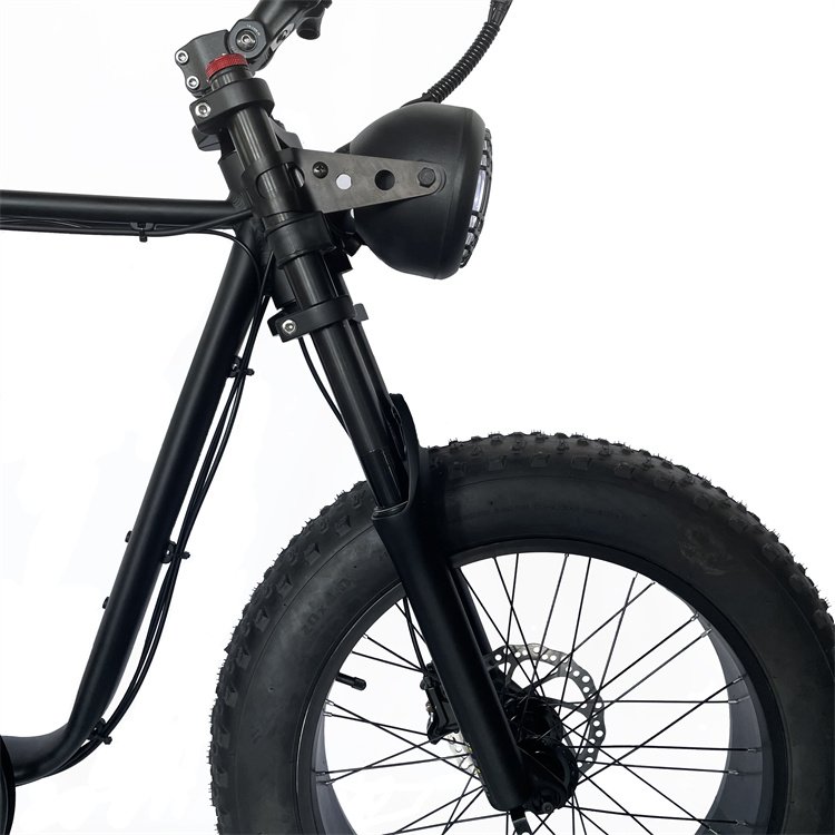 Fat Ebike for Adult Two Seat Electric Bike High Power 20 Inch 48V 1000W LED Lithium Battery Rear Hub Motor Aluminum Alloy 20.3AH