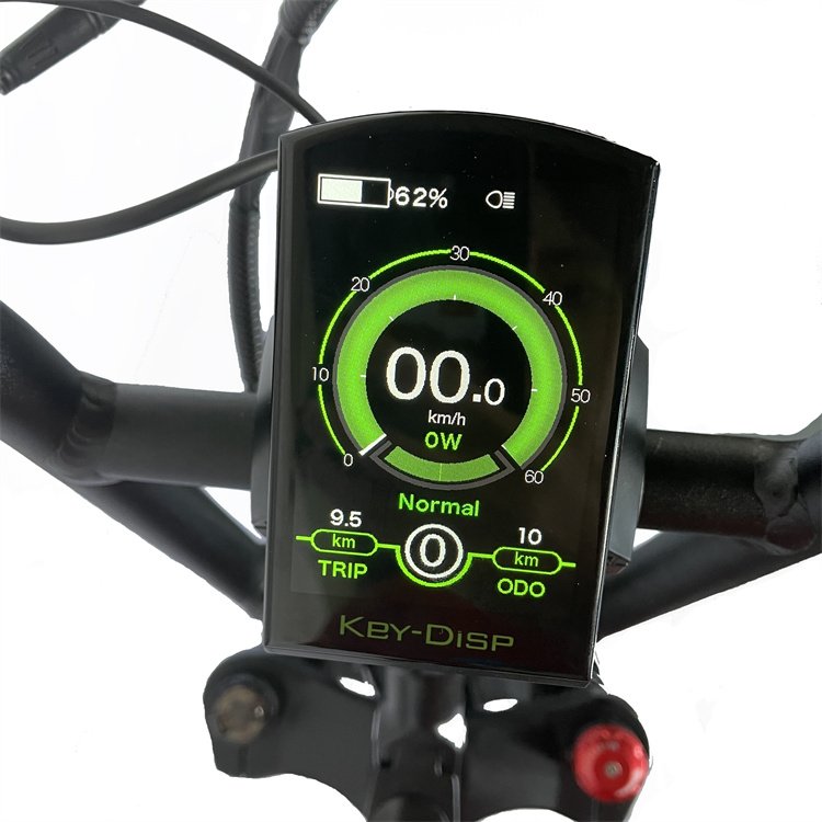 Fat Ebike for Adult Two Seat Electric Bike High Power 20 Inch 48V 1000W LED Lithium Battery Rear Hub Motor Aluminum Alloy 20.3AH