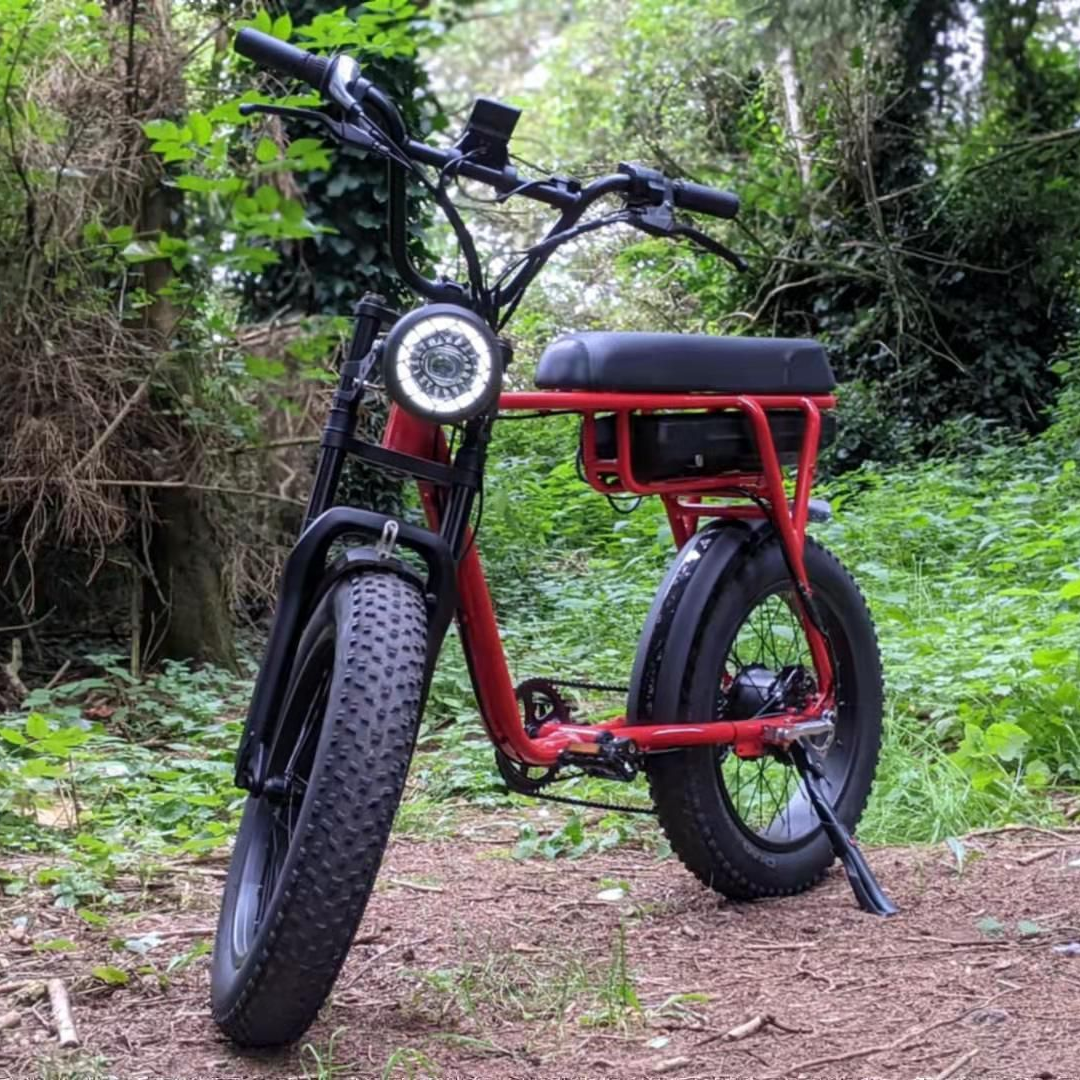Fat Ebike for Adult Two Seat Electric Bike High Power 20 Inch 48V 1000W LED Lithium Battery Rear Hub Motor Aluminum Alloy 20.3AH