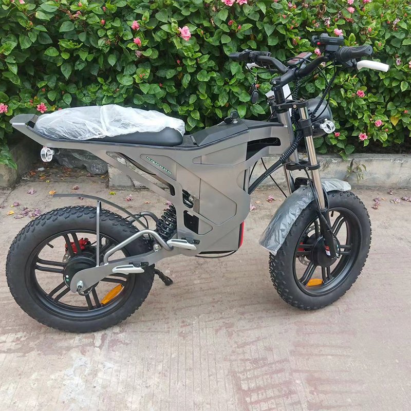 Electrical Manufacturers Motos Electric 1000 2000 Watts Electric Fat Tire Mountain Bike