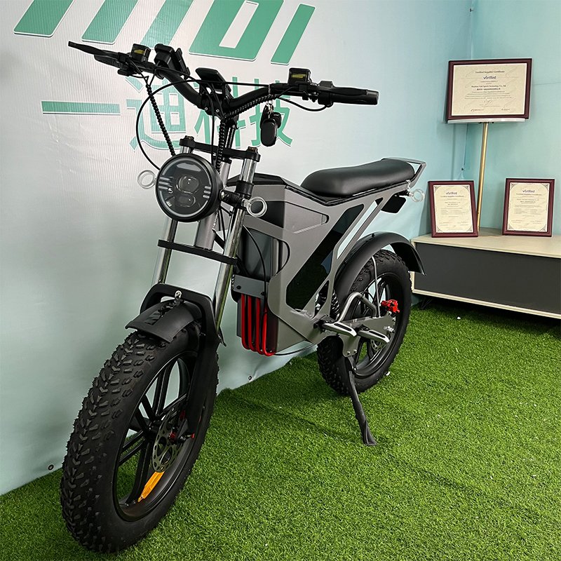 Electrical Manufacturers Motos Electric 1000 2000 Watts Electric Fat Tire Mountain Bike