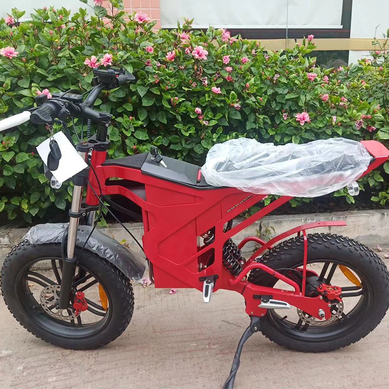Electrical Manufacturers Motos Electric 1000 2000 Watts Electric Fat Tire Mountain Bike