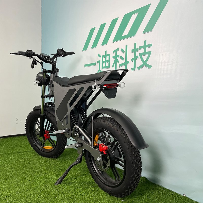 Electrical Manufacturers Motos Electric 1000 2000 Watts Electric Fat Tire Mountain Bike