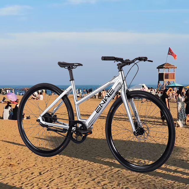 Electric City Bike 45km Range with Multiple PAS Options