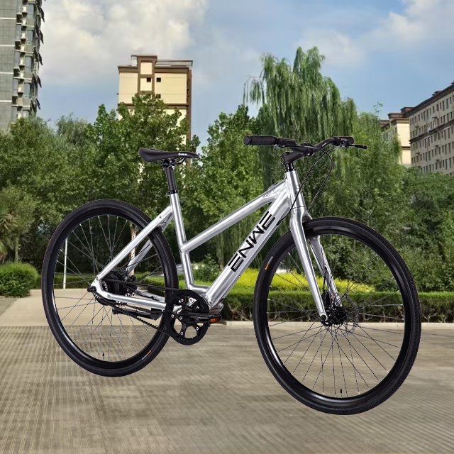 Electric City Bike 45km Range with Multiple PAS Options