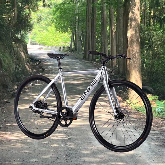 Electric City Bike 45km Range with Multiple PAS Options