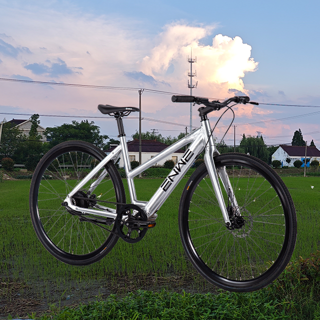 Electric City Bike 45km Range with Multiple PAS Options