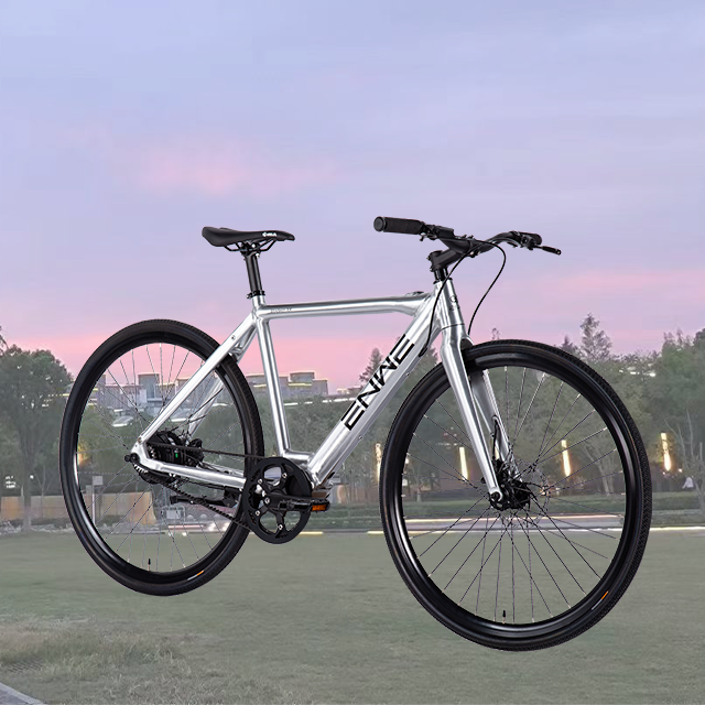 Electric City Bike 45km Range with Multiple PAS Options
